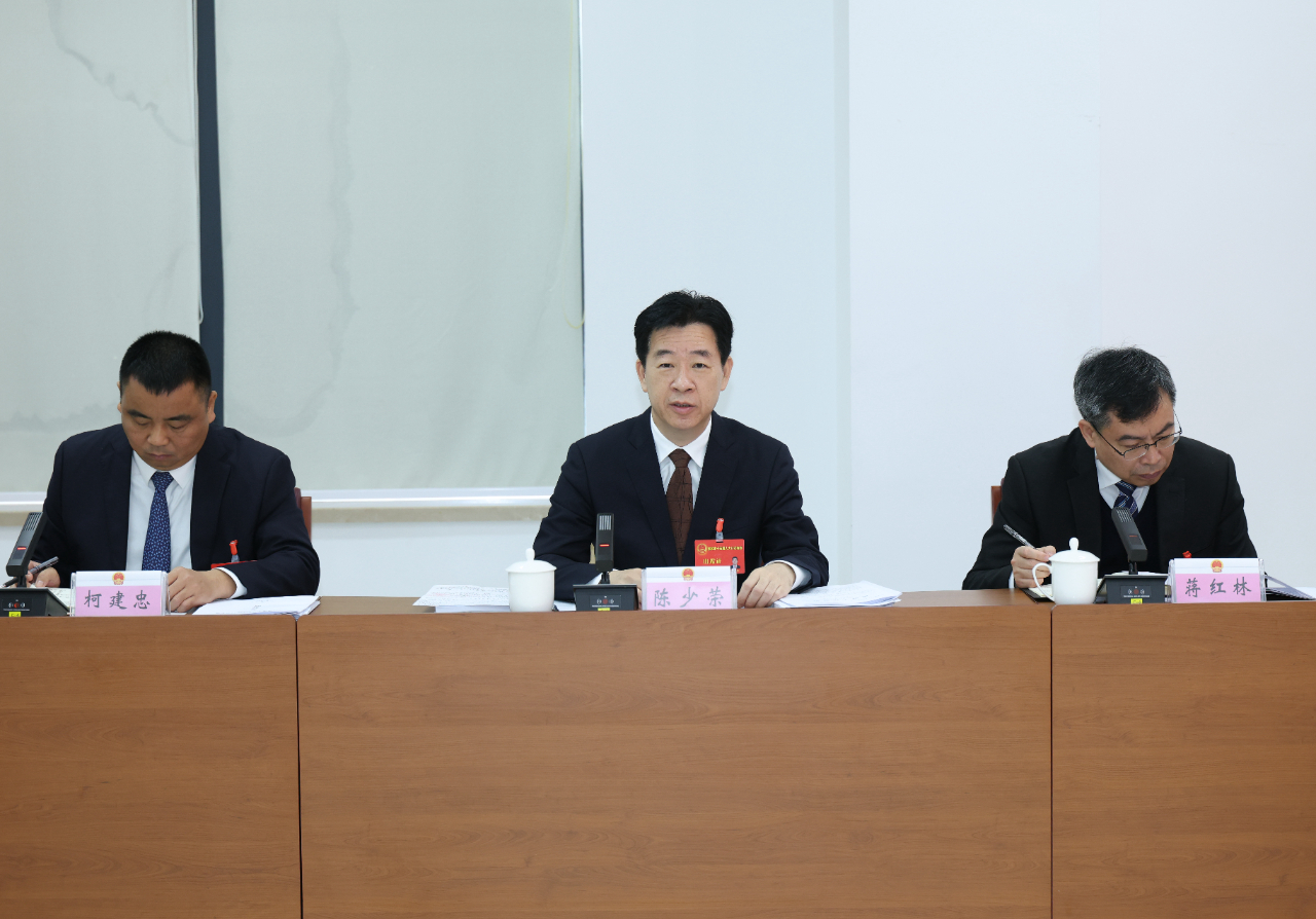 陈少荣参加市十五届人大八次会议分组审议