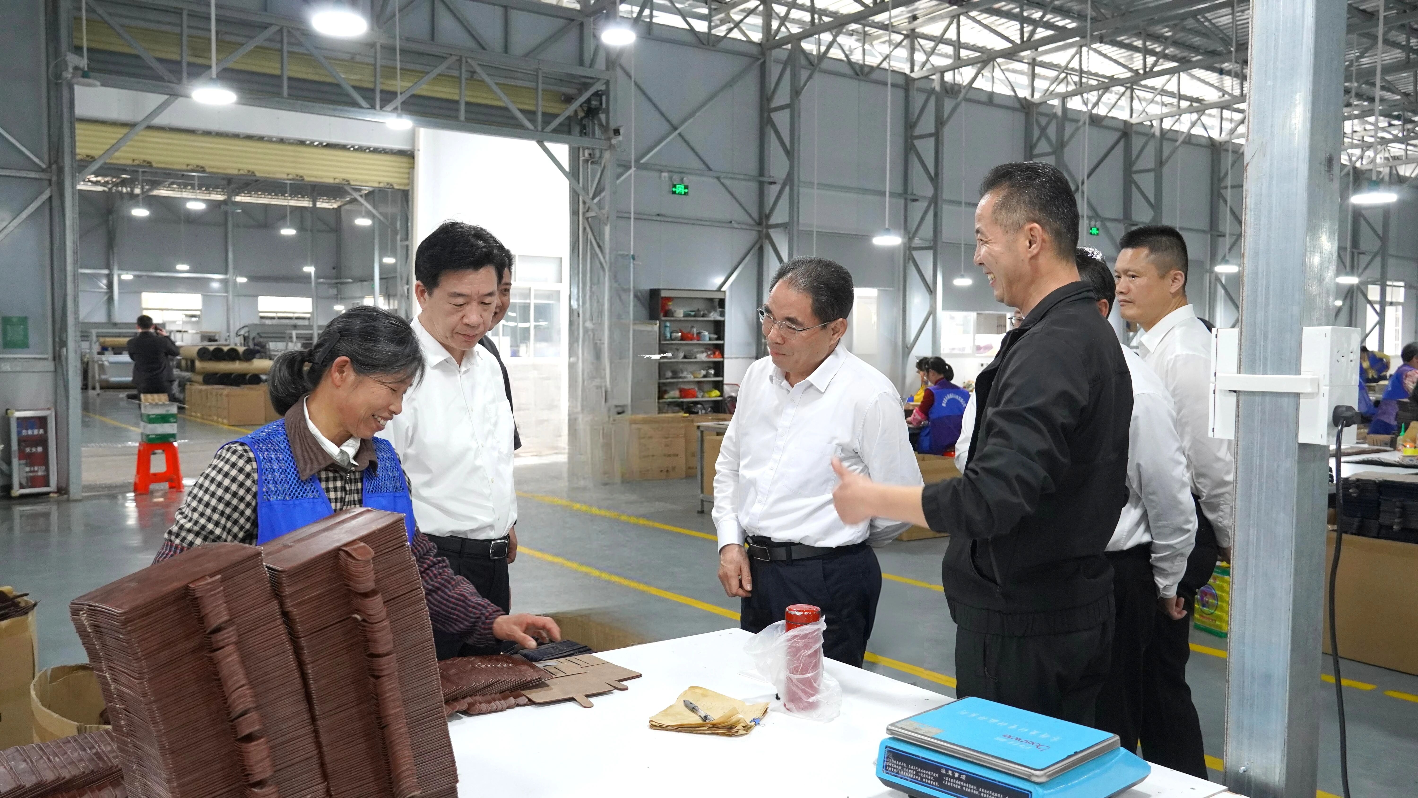 省人大常委会党组副书记、副主任叶贞琴到新丰县开展调研